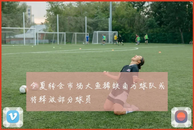 今夏转会市场大鱼稀缺南方球队或将释放部分球员
