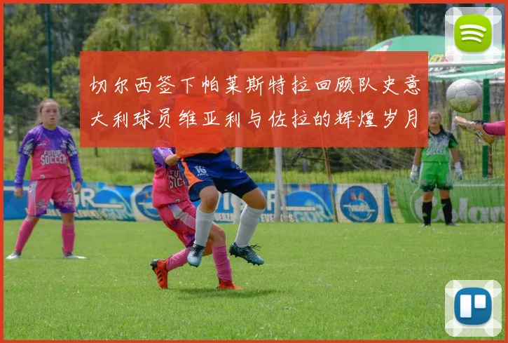切尔西签下帕莱斯特拉回顾队史意大利球员维亚利与佐拉的辉煌岁月